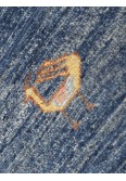 ZIEGLER WOOL 5525