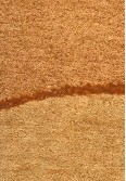 Gabbeh Wool 2586