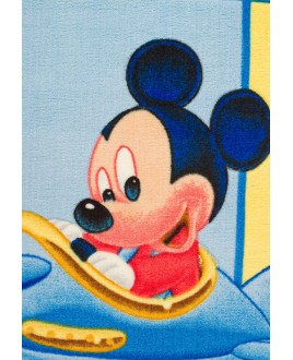 ΠΑΙΔΙΚΟ ΧΑΛΙ DISNEY BABY 307-2619